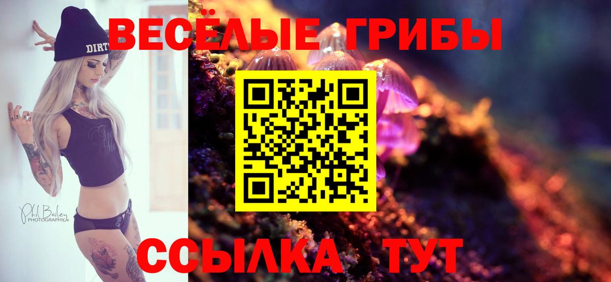 Псилоцибиновые грибы Psilocybine cubensis Гусь-Хрустальный